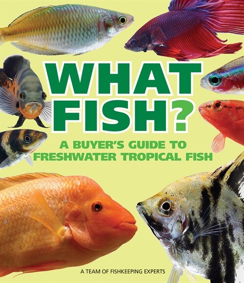 What Freshwater Fish?: A Buyer's Guide to Tropical Aquarium Fish (Paperback)