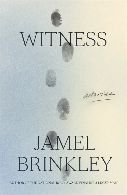 Witness: Stories (Hardcover)