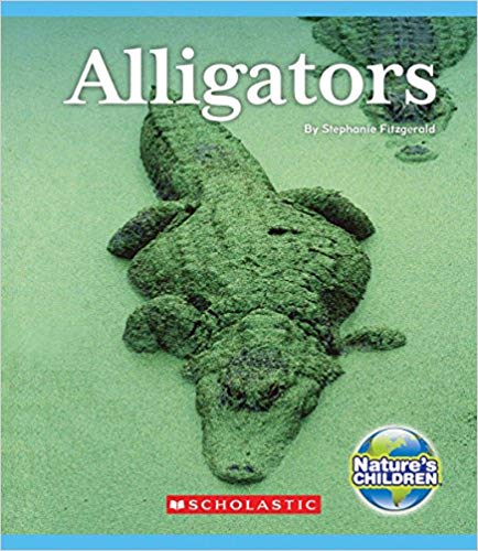 Alligators