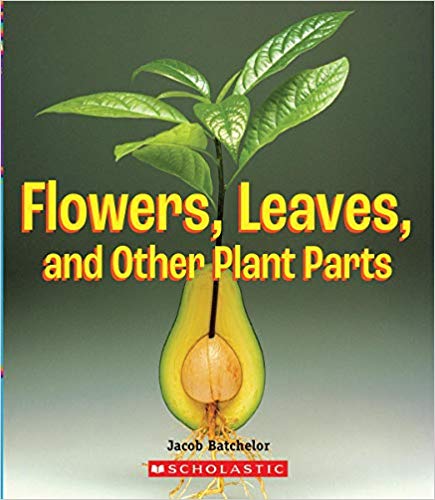 Flowers, Leaves and Other Plant Parts (a True Book: Incredible Plants!) (Library)