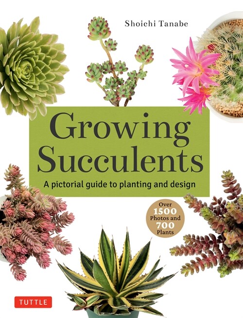 Growing Succulents: A Pictorial Guide to Planting and Design (Over 1,000 Photos and 700 Plants) (Paperback)