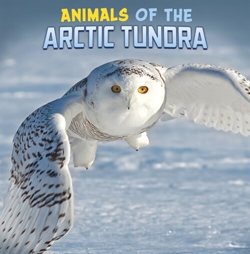 ANIMALS OF THE ARCTIC TUNDRA (Paperback)