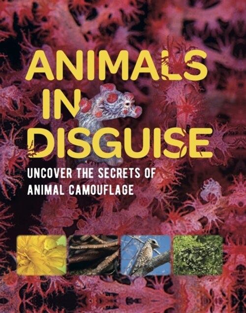 ANIMALS IN DISGUISE (Paperback)