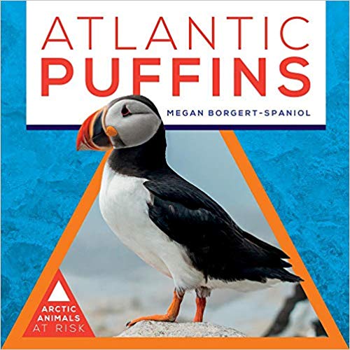 Atlantic Puffins