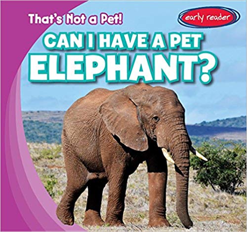 Can I Have a Pet Elephant?