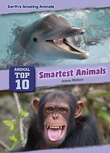 Smartest Animals