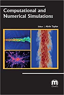 Computational and Numerical Simulations