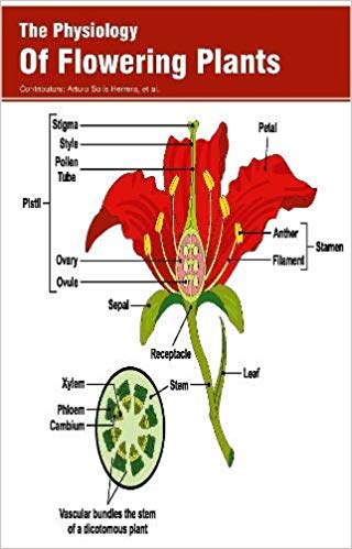 The Physiology Of Flowering Plants 