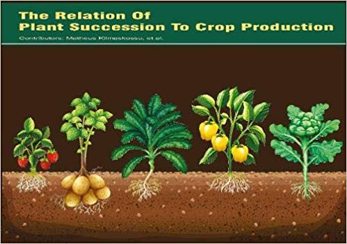 The Relation Of Plant Succession To Crop Production