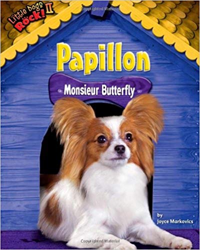 Papillon: Monsieur Butterfly