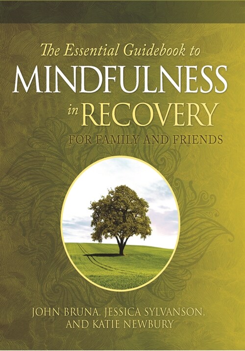 The Essential Guidebook to Mindfulness Recovery for Family and Friends (Paperback)