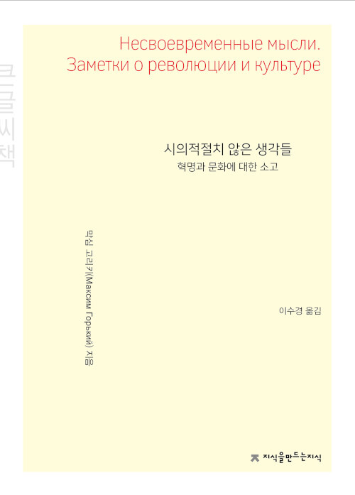 [큰글씨책] 시의적절치 않은 생각들 : 혁명과 문화에 대한 소고