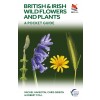 British and Irish Wild Flowers and Plants (Paperback)