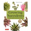 Growing Succulents: A Pictorial Guide to Planting and Design (Over 1,000 Photos and 700 Plants) (Paperback)