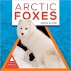 Arctic Foxes