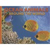 Ocean Animals Around the World