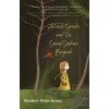 Artemis Sparke and the Sound Seekers Brigade (Paperback)