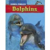 Dolphins