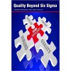 Quality Beyond Six Sigma