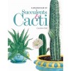 A Splendour of Succulents & Cacti (Hardcover)