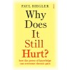 Why Does It Still Hurt?: How the Power of Knowledge Can Overcome Chronic Pain (Paperback)