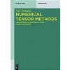 Numerical Tensor Methods: Tensor Trains in Mathematics and Computer Science (Paperback)